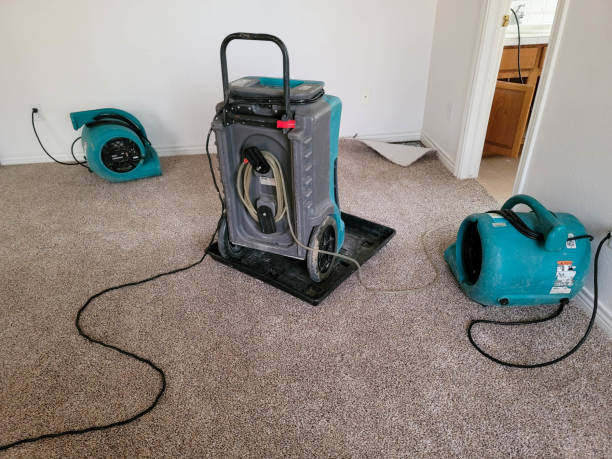 Best Mold removal after water damage  in Golden Gate, FL