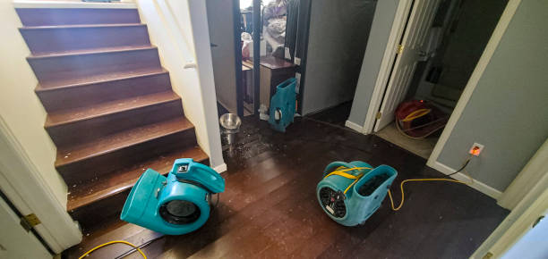 Best Water damage repair service  in Golden Gate, FL