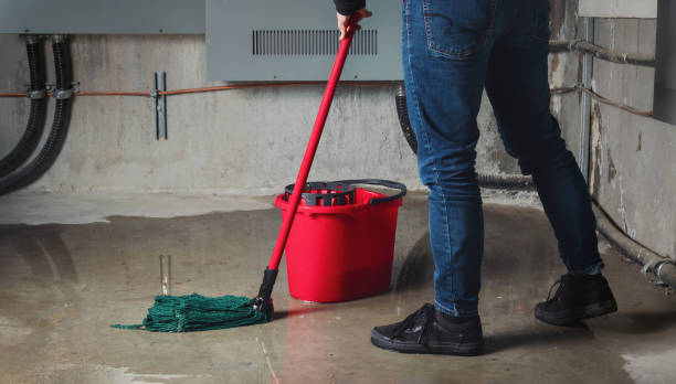Best Commercial water damage restoration  in Golden Gate, FL