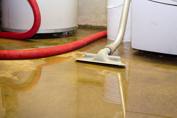 Best Professional water damage repair  in Golden Gate, FL