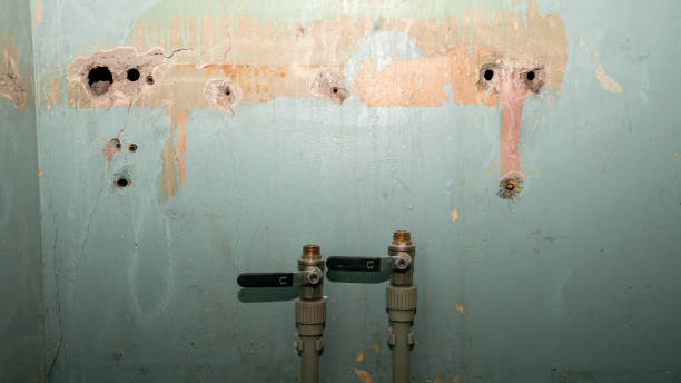 Best Flood restoration services  in Golden Gate, FL
