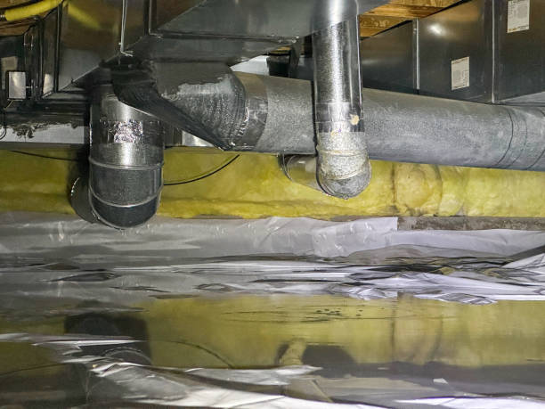 Best Water damage restoration near me  in Golden Gate, FL