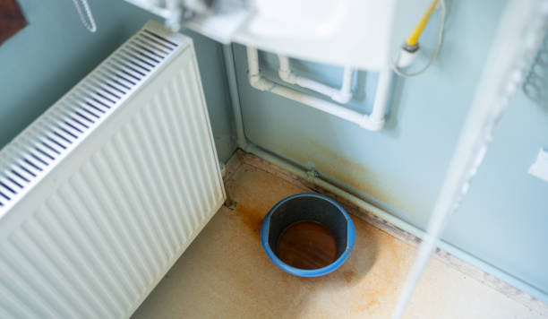 Best Water damage restoration process  in Golden Gate, FL