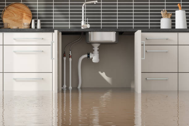 Best Emergency water extraction  in Golden Gate, FL