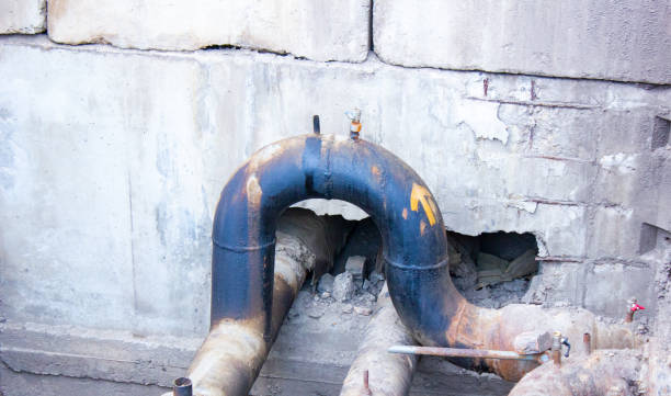 Best Water damage cleanup near me  in Golden Gate, FL