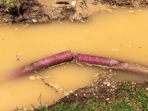 Best Water damage restoration services  in Golden Gate, FL