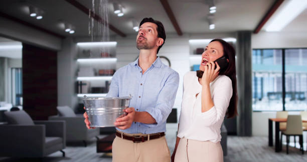  Golden Gate, FL Water damage restoration Pros