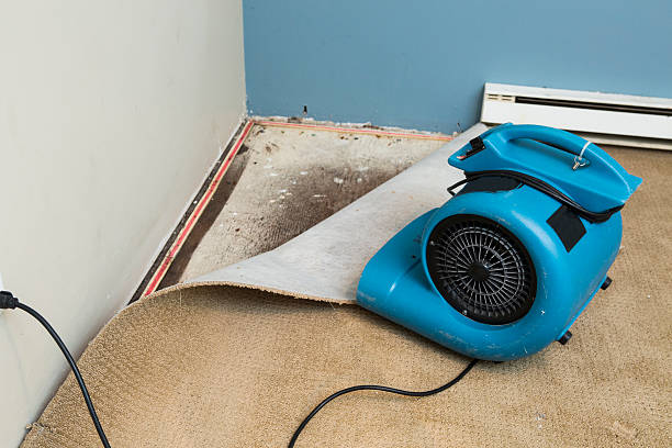 Best Sewage cleanup and water damage restoration  in Golden Gate, FL